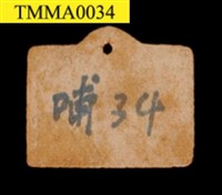 海南穿山甲藏品圖，第16張